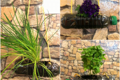 Upcycling_Bepflanzung